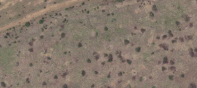 Acreage Tracts with Road Frontage