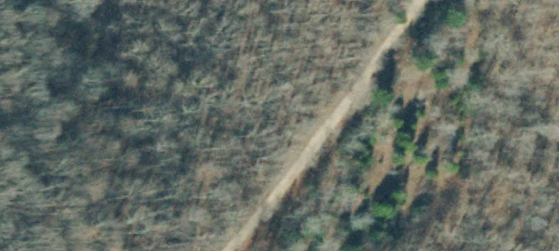Cleared Hunting Land Build Site