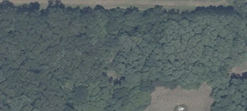 Wooded Custom Home Lot