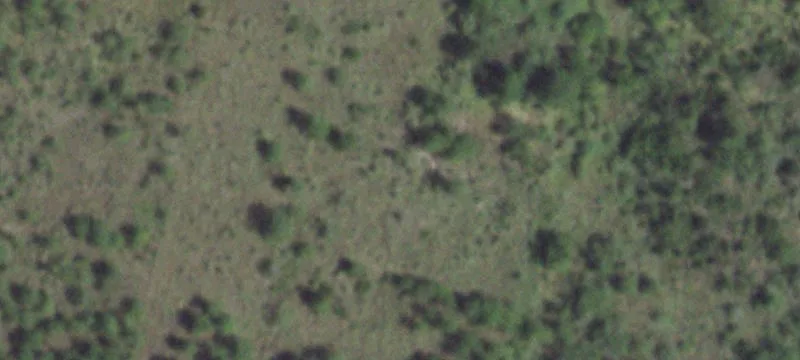Undeveloped Land with Ponds
