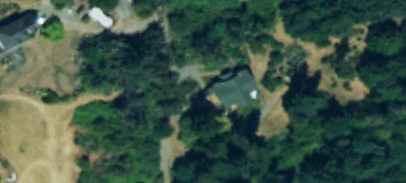 Level Partially Cleared Residential Lot