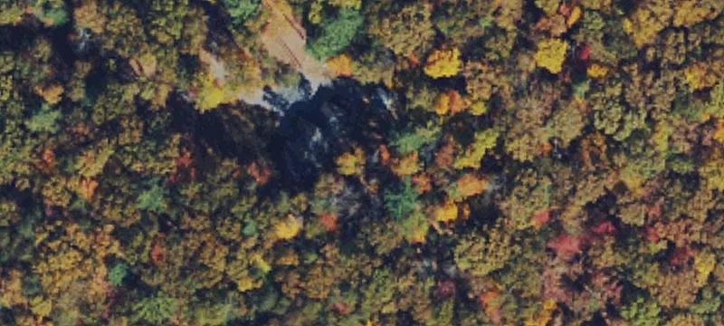 Level Wooded Building Lot
