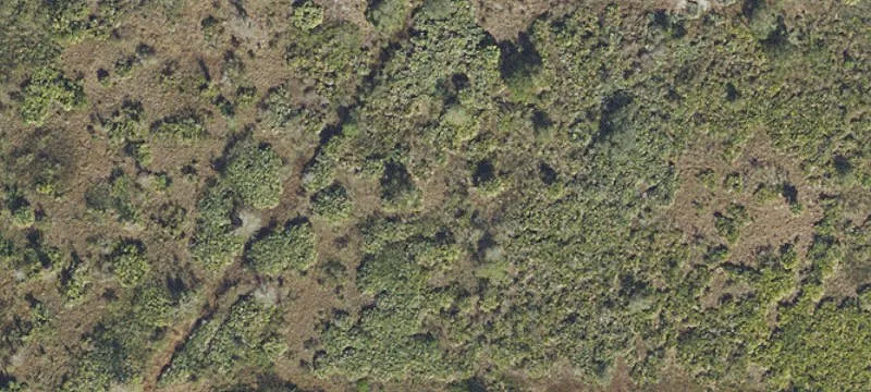 Vacant Land Parcel