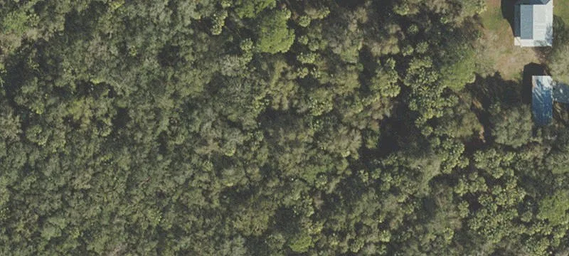 Commercial Land Lot on Main Road