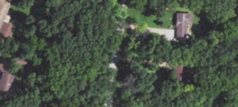 Wooded Vacant Lot with Flat Terrain