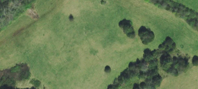 Cleared Land with Creek