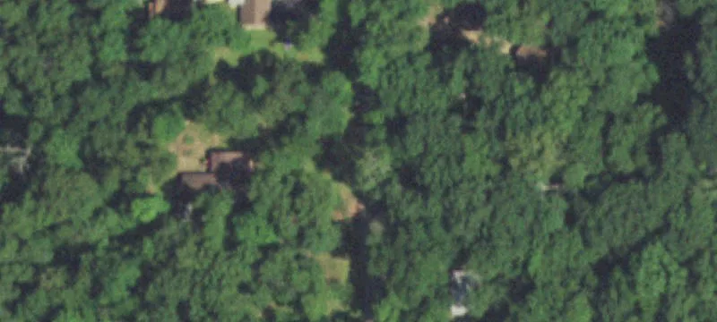 Flat Wooded Building Lot