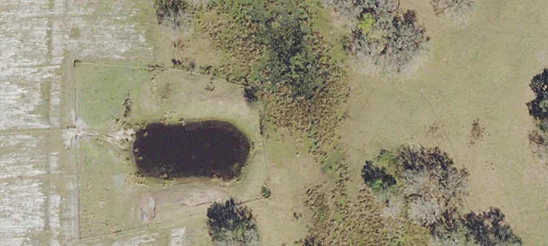 Fenced Cattle Ranch Acreage