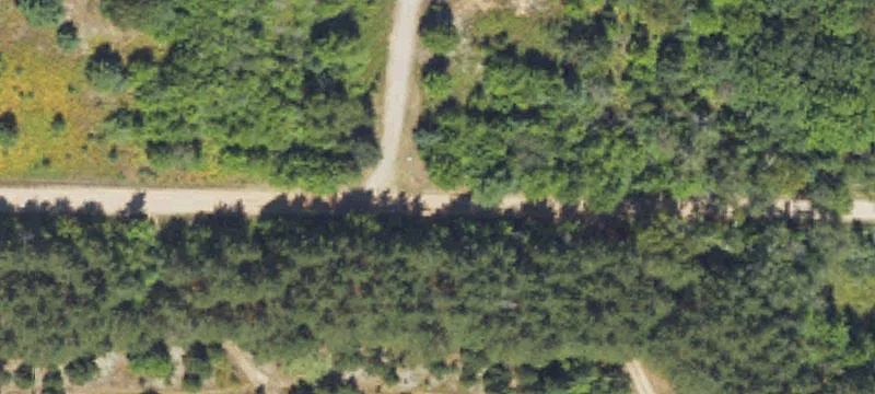 Recreational Land with D-Log Cabin