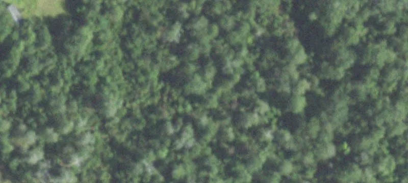 Timberland with Recreation Potential