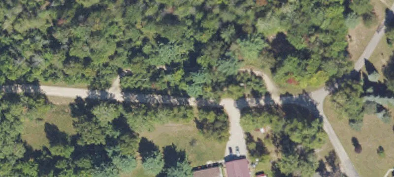 Heavily Wooded Hunting Land