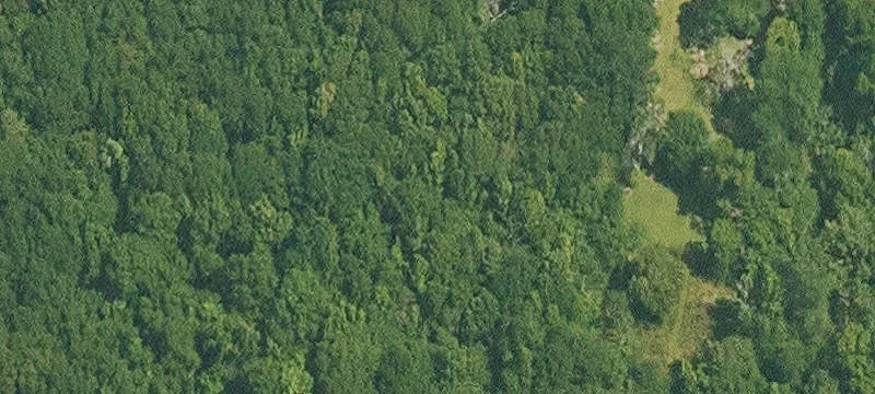 Wooded Recreational Acreage Tract