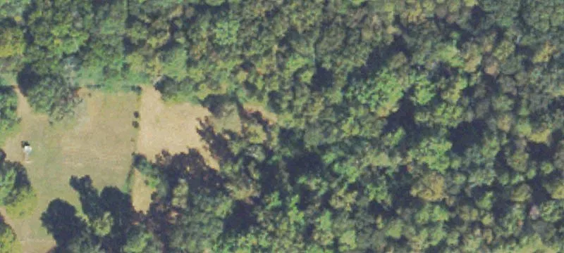 Wooded Acreage with Creek