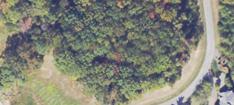 Wooded Golf Community Homesite