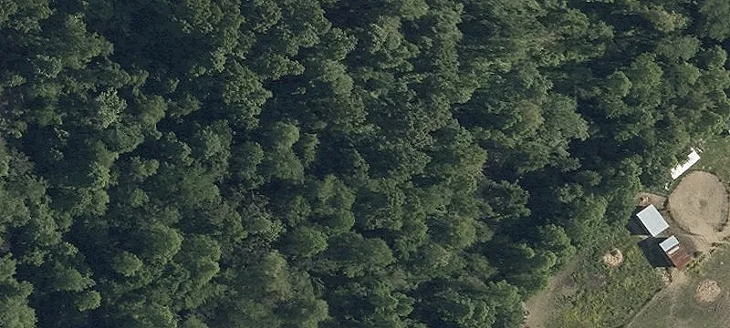 Wooded Residential Building Lot