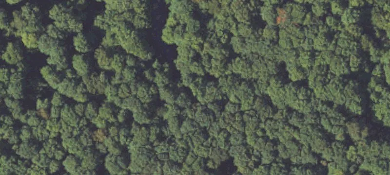 Vacant Land for Custom Homes