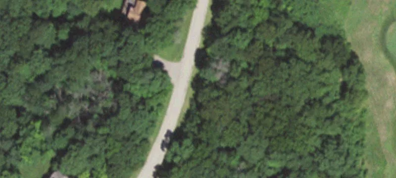 Wooded Homesite with Gentle Slope