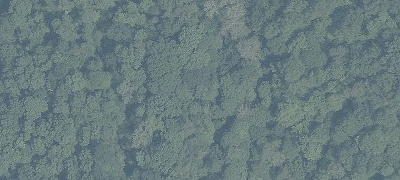 Wooded Waterfront Recreation Land