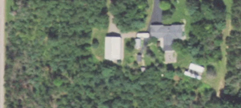 Wooded Hunting Land with Building Site