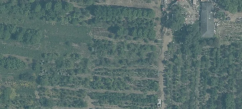 Tree Farm Development Land