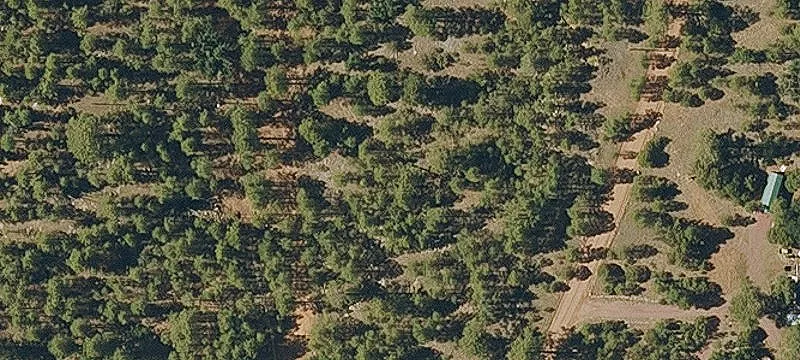 Recreational Land with Tree Coverage