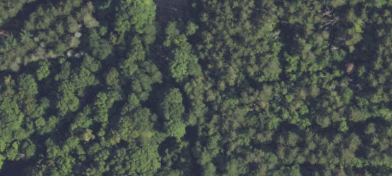 Recreational Hunting Land Parcel