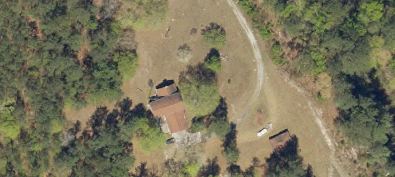 Forested Recreational and Hunting Land