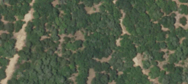 Agricultural Land Tract