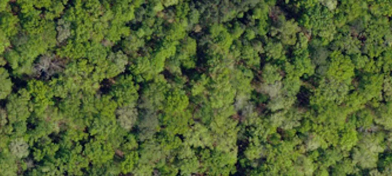 Corner Commercial Land Parcel