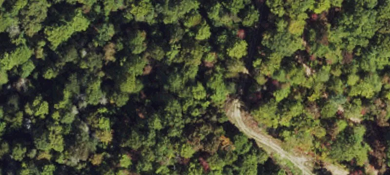 Creekside Recreational Hunting Land