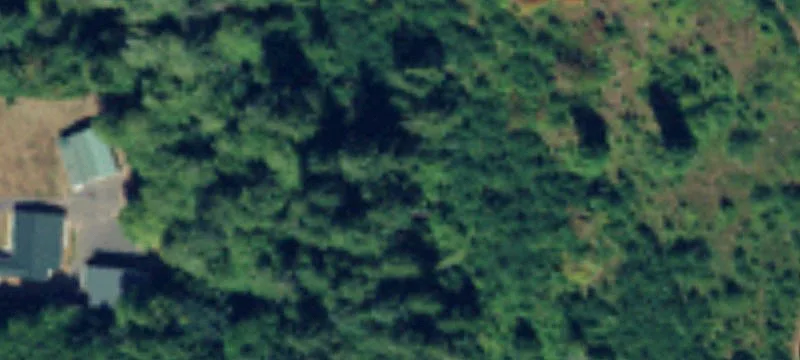 Recreational Hunting Land Parcel