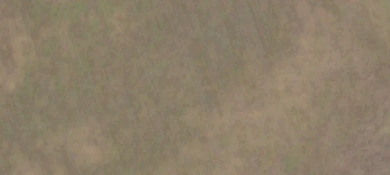 Ranch-Style Land Parcel