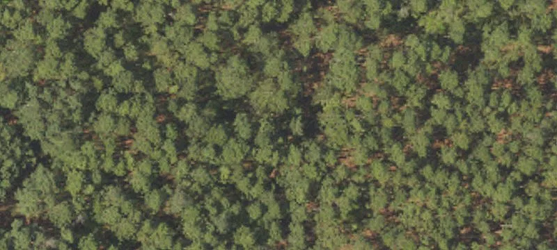 Cleared Wooded Homesite for Double-Wide
