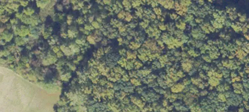 Wooded Home Lot at Cul-de-Sac