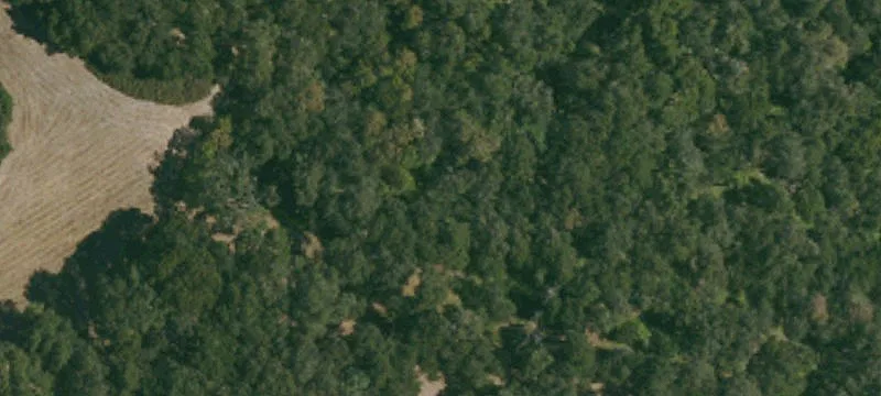 Waterfront Land Homesite with Building Envelope