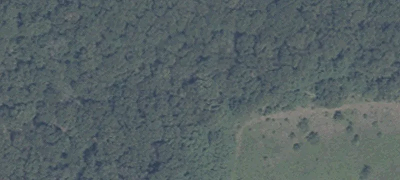Rural Acreage with Pond and Utilities