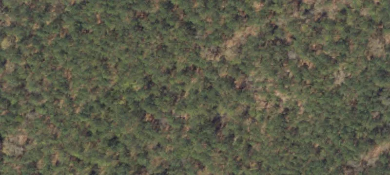 Level Partially Wooded Home Lot