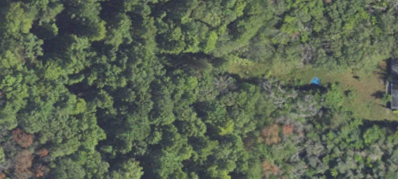 Hunting and Recreational Land