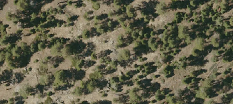 Residential Land Parcel with Oak Trees