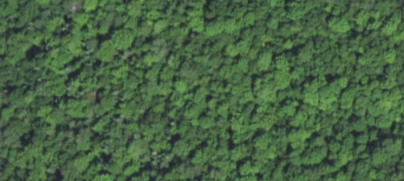 Build-Ready Hunting Land with Trail System
