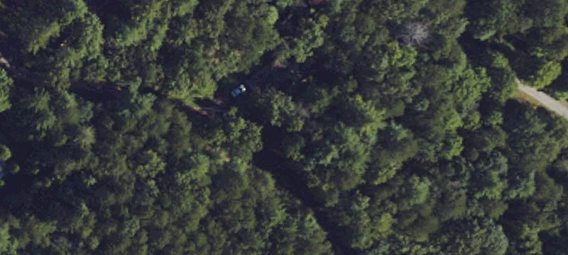 Wooded Residential Land Parcel