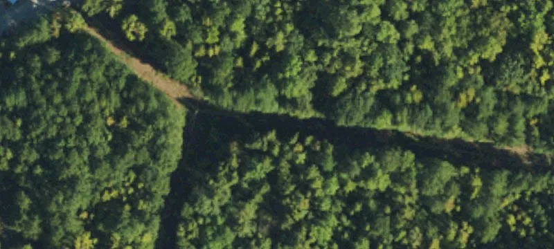 Cleared Land with Wooded Area