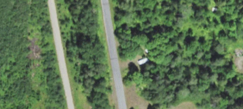 Wooded Hunting and Recreational Land