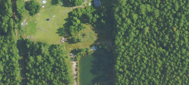 Wooded Country Homebuilding Land