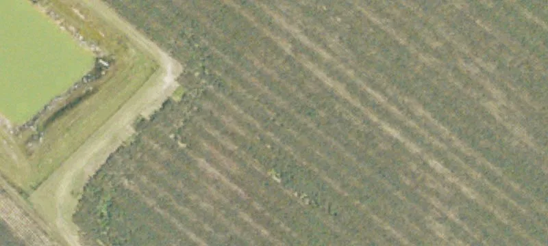 Agricultural Land with Pond
