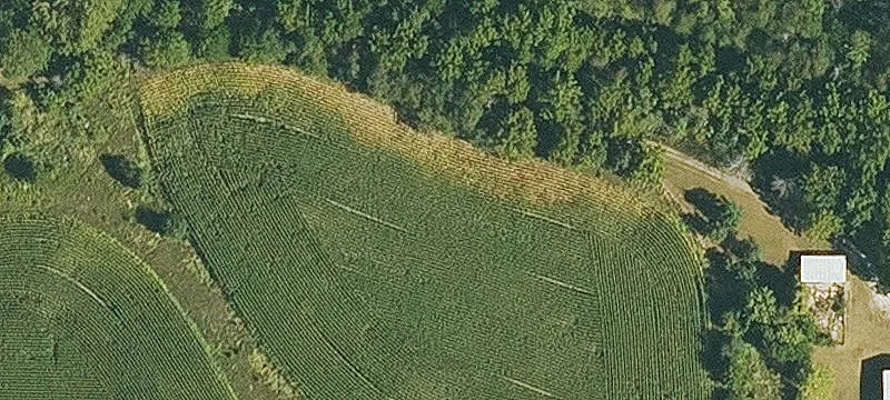 Agricultural Land with Cabin and Ponds