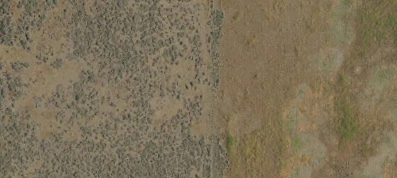 Rural Acreage with Seasonal Creek