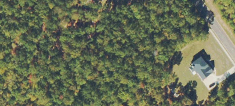 Residential Land Parcel with Mature Trees