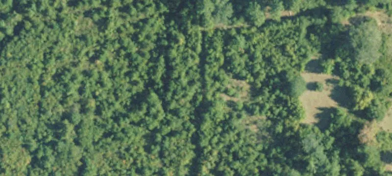 Recreational Land with Updated Camp