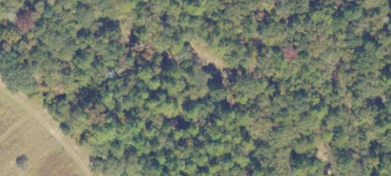 Country Acreage Tract for Development